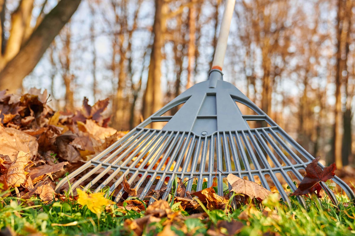 Secure More Autumn Landscaping Work by Sending Quotes First