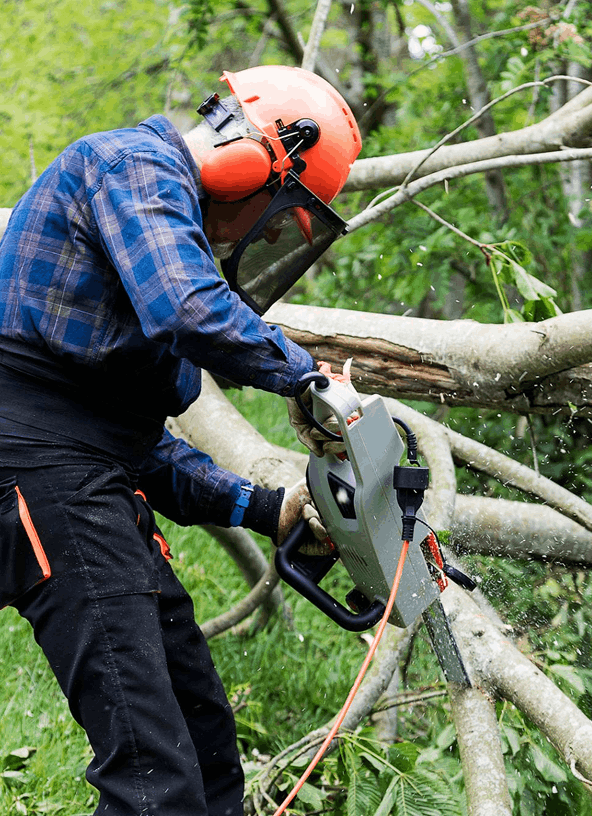 Arborists