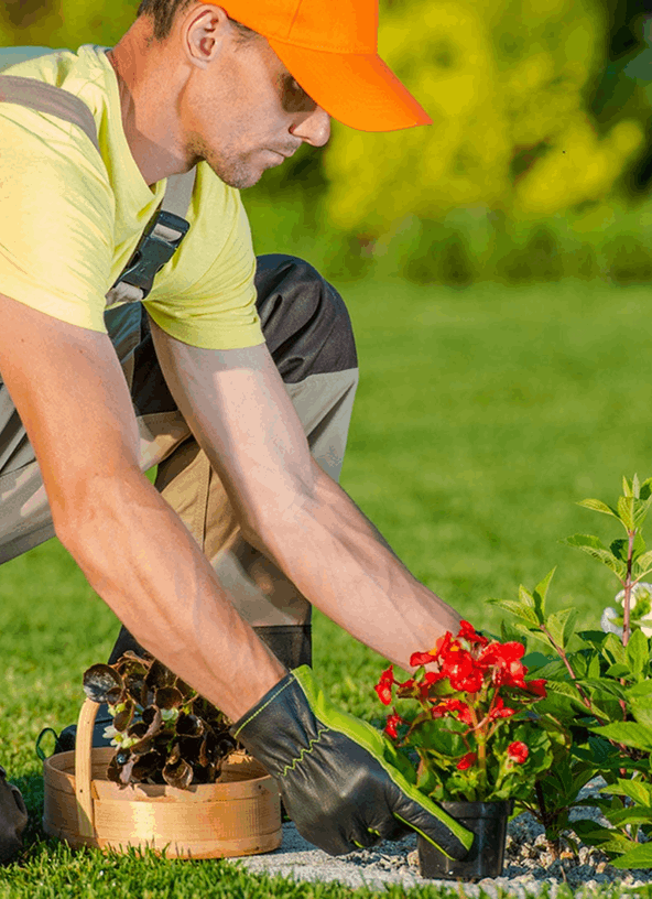 Landscapers